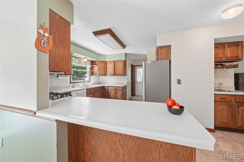 Tiny photo for 458 Fox Den Lane, Wentzville, MO 63385 (MLS # 26026508)