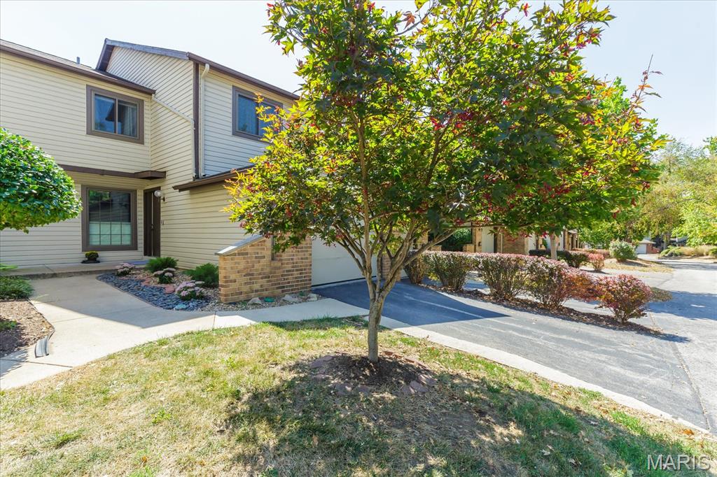 640 Painted Vista Drive