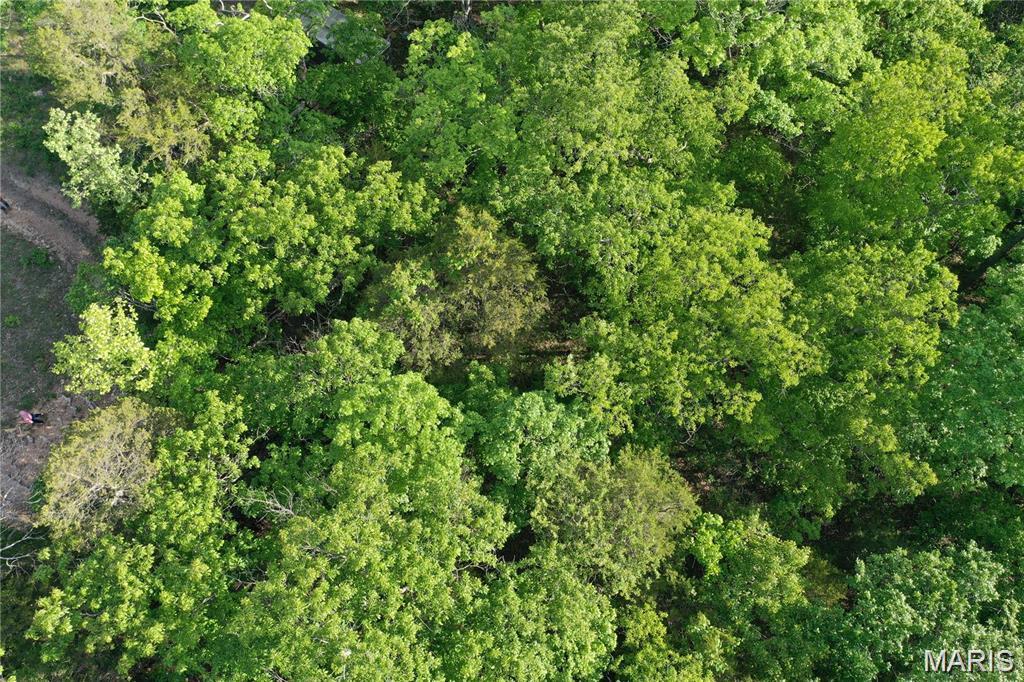 Riverview Estates - Land