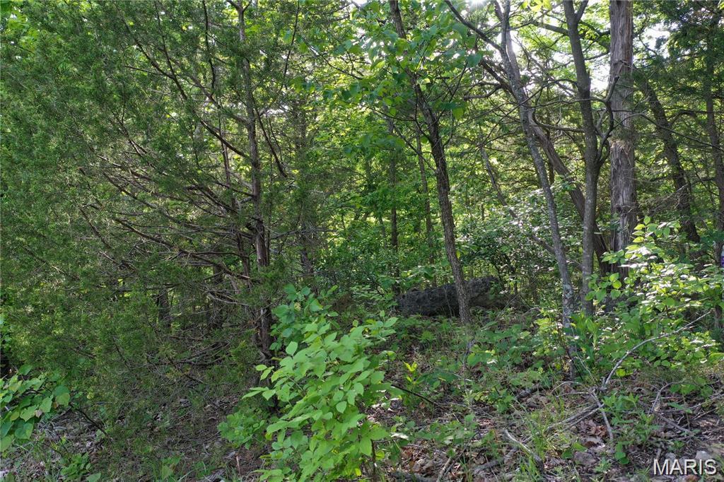 Riverview Estates - Land