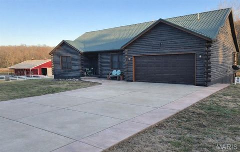Photo of 12928 Morgans Meadow Road, De Soto, MO 63020 (MLS # 26011690)