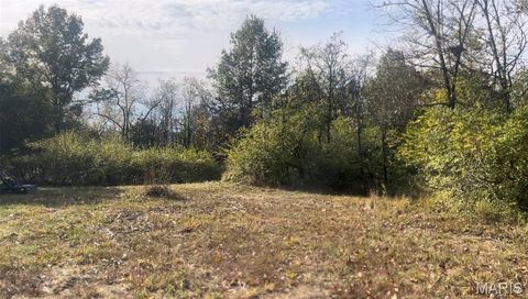 5695 Hill View Drive Pacific MO 63069