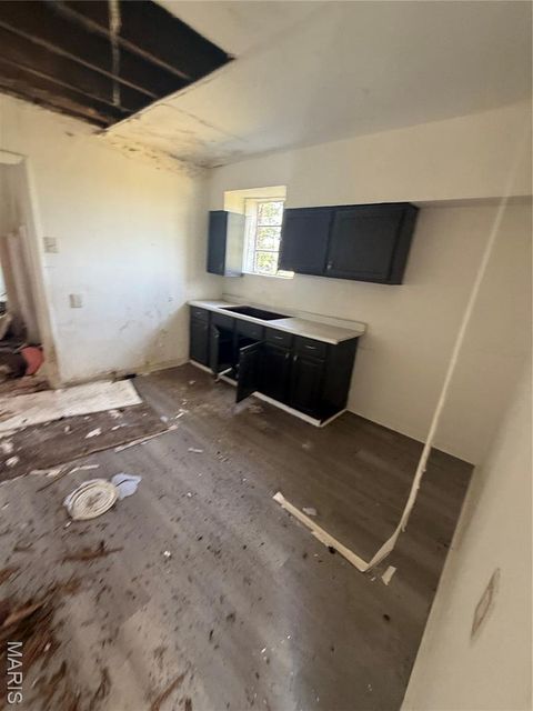 Tiny photo for 4443 Saint Ferdinand Avenue, St Louis, MO 63113 (MLS # 25070800)