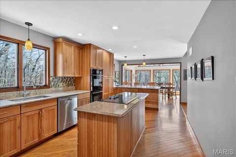 Tiny photo for 19463 Babler Forest Road, Chesterfield, MO 63005 (MLS # 26014441)