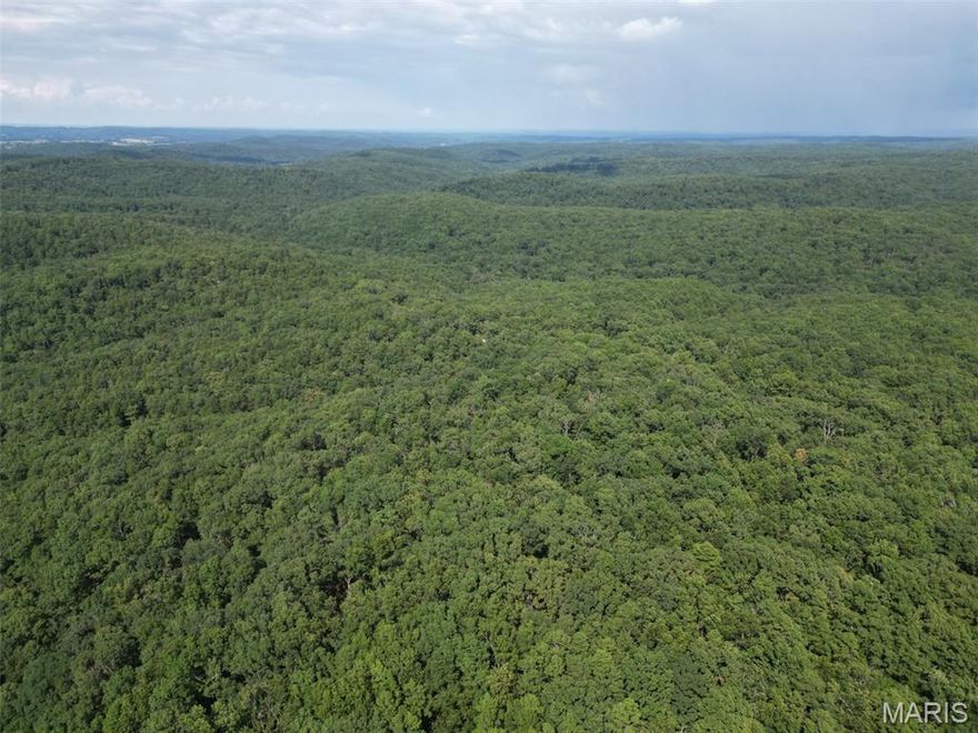 Recreational paradise! Good Timber, great access. Borders 14,000 acres of conservation ground.