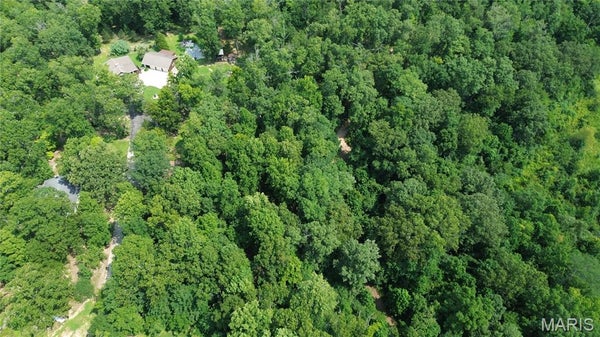 RADCLIFF LN, POPLAR BLUFF, MO 63901 - Image ebc12dc02f7537e21f344b00a1e0c80d/303318954