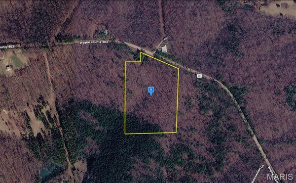 WAYNE COUNTY RD 403, GREENVILLE, MO 63944 - Image ebcfd0441bc5610f42e7442fb12213dd/4206020371