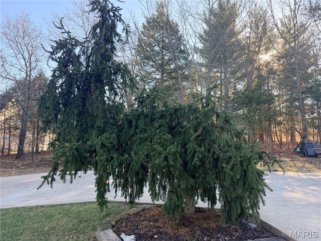 The Pines - Residential