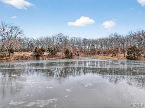 Tiny photo for 43 Pinckney Street, Warrenton, MO 63383 (MLS # 26003931)