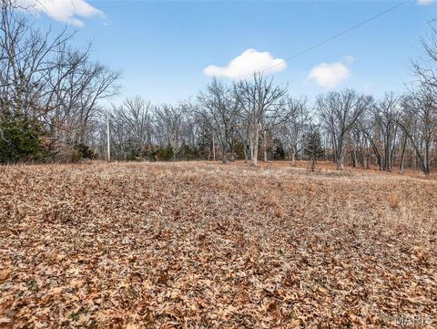Tiny photo for 43 Pinckney Street, Warrenton, MO 63383 (MLS # 26003931)
