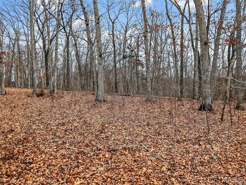 Tiny photo for 43 Pinckney Street, Warrenton, MO 63383 (MLS # 26003931)