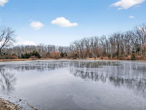 Tiny photo for 43 Pinckney Street, Warrenton, MO 63383 (MLS # 26003931)