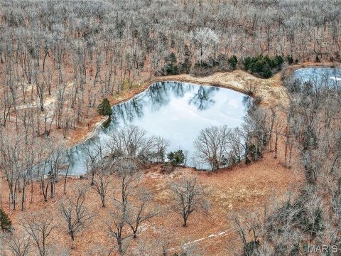 Tiny photo for 43 Pinckney Street, Warrenton, MO 63383 (MLS # 26003931)