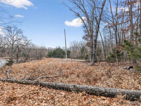Tiny photo for 43 Pinckney Street, Warrenton, MO 63383 (MLS # 26003931)