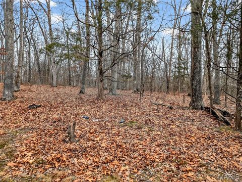 Tiny photo for 43 Pinckney Street, Warrenton, MO 63383 (MLS # 26003931)
