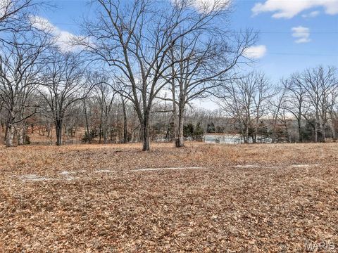 Tiny photo for 43 Pinckney Street, Warrenton, MO 63383 (MLS # 26003931)
