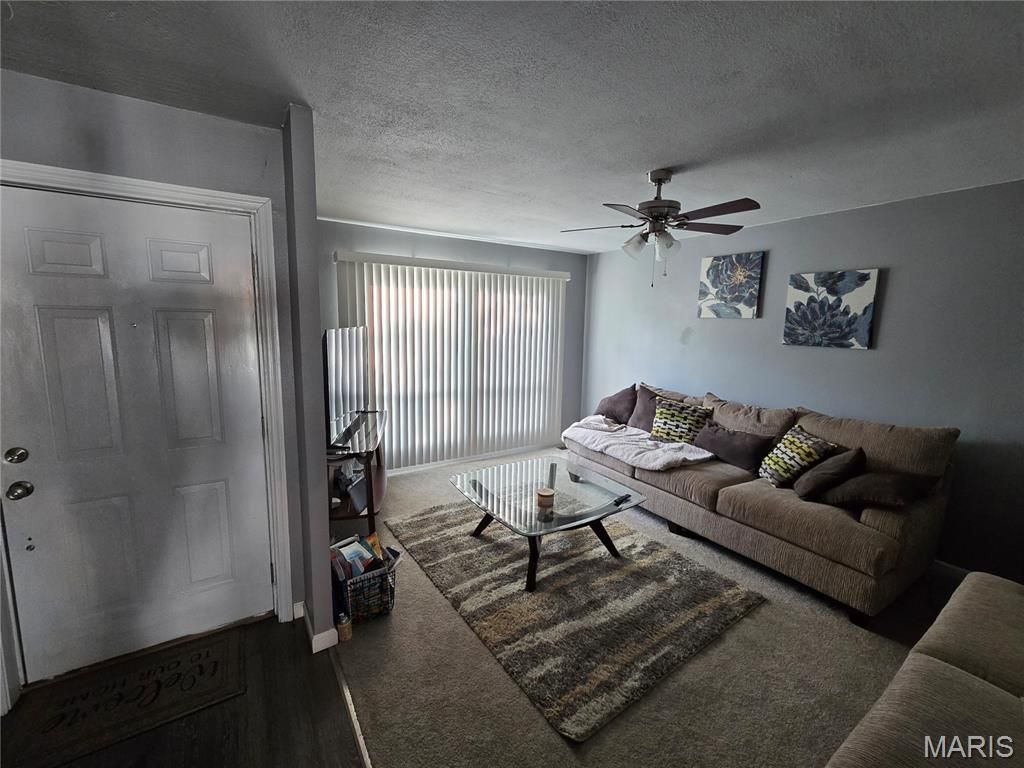 Photo of 12136 La Padera Lane, Florissant, MO 63033 (MLS # 25079202)