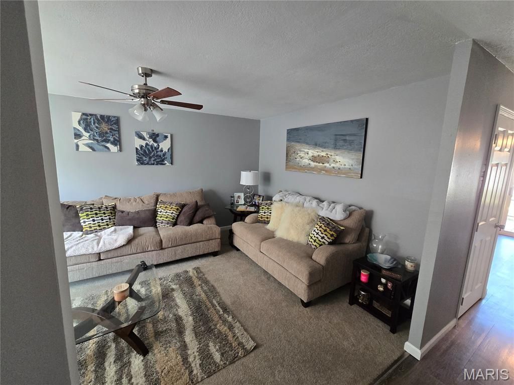 Photo of 12136 La Padera Lane, Florissant, MO 63033 (MLS # 25079202)