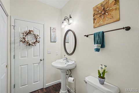Tiny photo for 478 Oak Field Court, Washington, MO 63090 (MLS # 26046731)