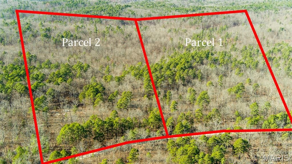 Photo of 7183 County Road 5600 Parcel 1, Salem, MO 65560 (MLS # 26003935)