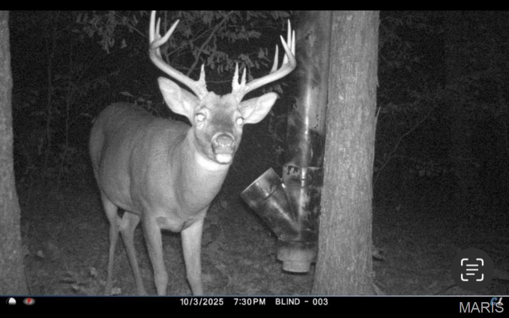 0 Old Williamsburg Rd 37.48 AC