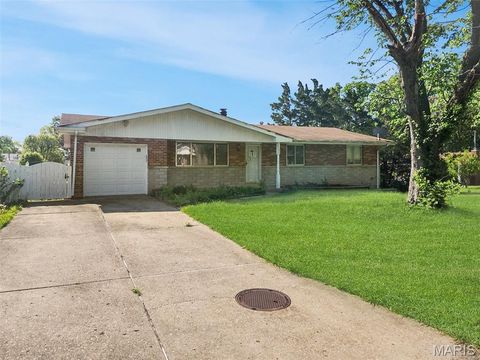 Photo of 1146 Hawkstone Lane, St Louis, MO 63125 (MLS # 26030639)