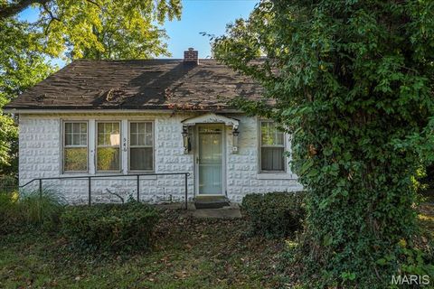Tiny photo for 546 Holland Avenue, Webster Groves, MO 63119 (MLS # 25065907)