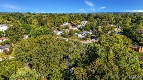 Tiny photo for 546 Holland Avenue, Webster Groves, MO 63119 (MLS # 25065907)