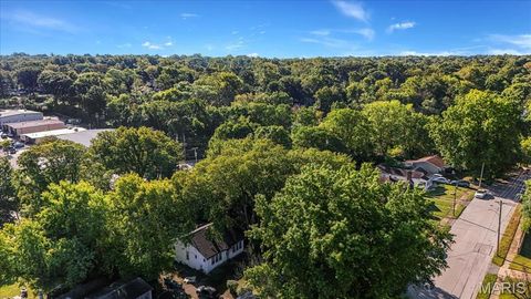 Tiny photo for 546 Holland Avenue, Webster Groves, MO 63119 (MLS # 25065907)