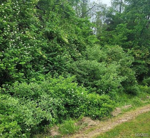 Tiny photo for 16342 Clayton Road, Wildwood, MO 63011 (MLS # 25068935)