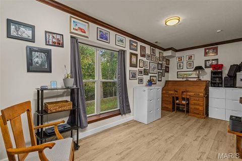 Tiny photo for 915 Timber Glen Lane, Ballwin, MO 63021 (MLS # 25066149)