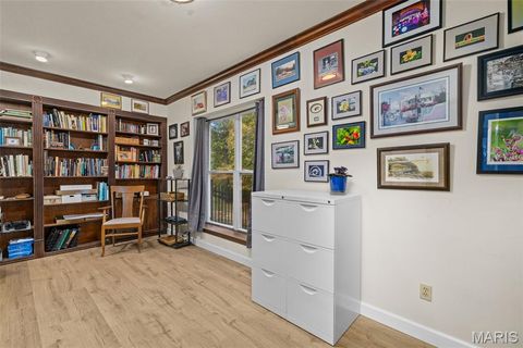 Tiny photo for 915 Timber Glen Lane, Ballwin, MO 63021 (MLS # 25066149)