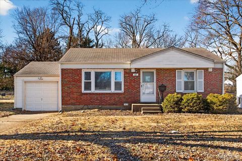 Photo of 1415 Gahan Drive, Florissant, MO 63031 (MLS # 25082237)