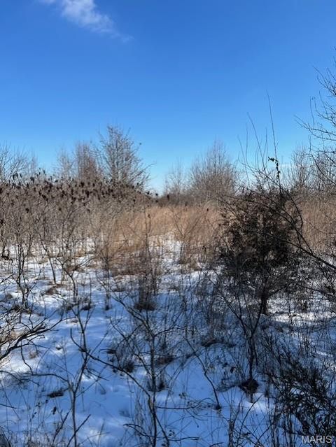 Lot 7 Parkview Farms Blackwell MO 63626