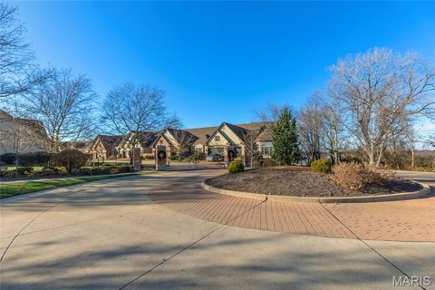 Tiny photo for 14422 Rue De Gascony Court, Chesterfield, MO 63017 (MLS # 25065486)