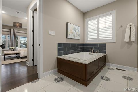 Tiny photo for 14422 Rue De Gascony Court, Chesterfield, MO 63017 (MLS # 25065486)