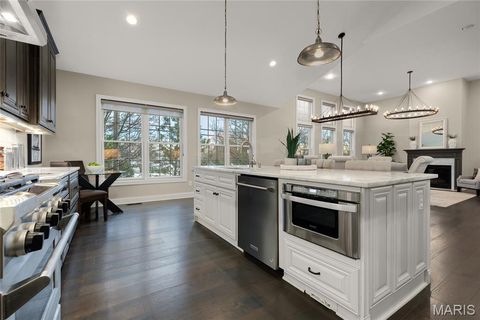 Tiny photo for 14422 Rue De Gascony Court, Chesterfield, MO 63017 (MLS # 25065486)