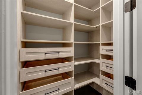 Tiny photo for 14422 Rue De Gascony Court, Chesterfield, MO 63017 (MLS # 25065486)