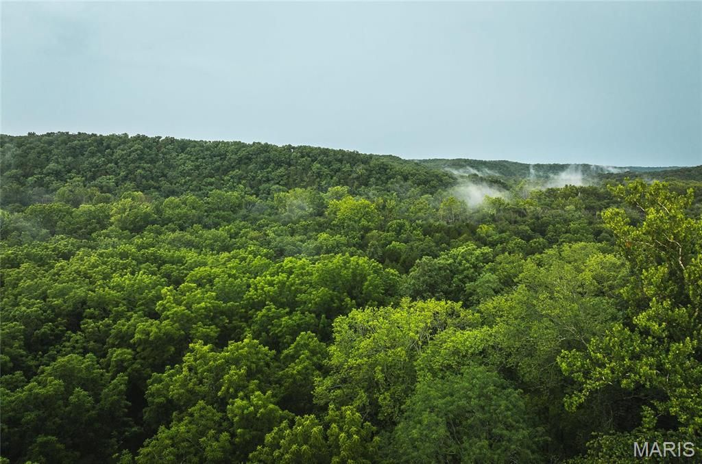 Photo of 0 County Road 7250 Tract 1, Newburg, MO 65550 (MLS # 26013750)