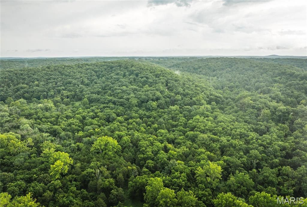 Photo of 0 County Road 7250 Tract 1, Newburg, MO 65550 (MLS # 26013750)