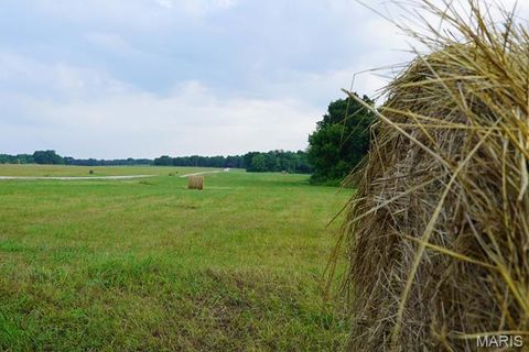 Tiny photo for 0 Billets Landing (Tract #7), Perry, MO 63462 (MLS # 26030920)