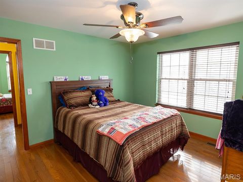 Tiny photo for 1175 Pike 41, Bowling Green, MO 63334 (MLS # 26004984)