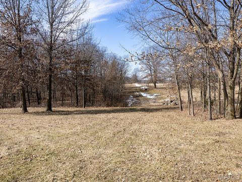 Tiny photo for 1175 Pike 41, Bowling Green, MO 63334 (MLS # 26004984)