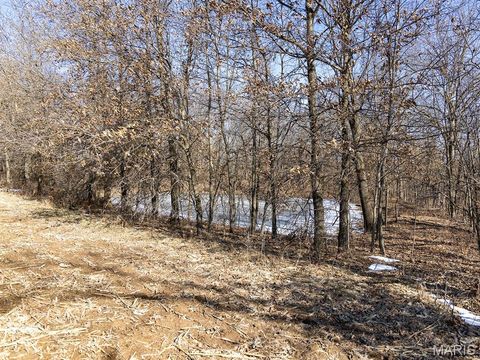 Tiny photo for 1175 Pike 41, Bowling Green, MO 63334 (MLS # 26004984)