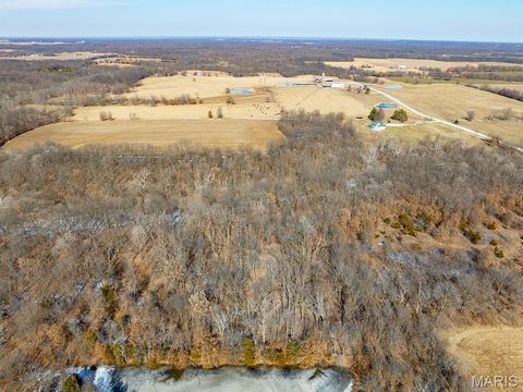 Tiny photo for 1175 Pike 41, Bowling Green, MO 63334 (MLS # 26004984)