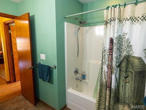 Tiny photo for 1175 Pike 41, Bowling Green, MO 63334 (MLS # 26004984)