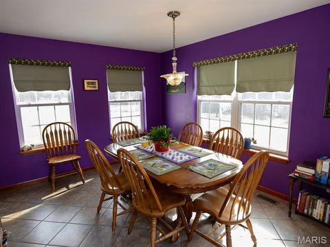 Tiny photo for 1175 Pike 41, Bowling Green, MO 63334 (MLS # 26004984)