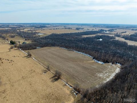 Tiny photo for 1175 Pike 41, Bowling Green, MO 63334 (MLS # 26004984)