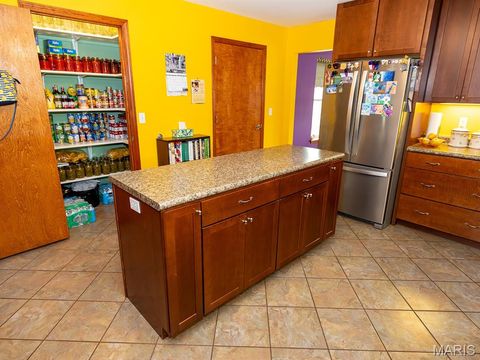 Tiny photo for 1175 Pike 41, Bowling Green, MO 63334 (MLS # 26004984)