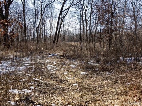 Tiny photo for 1175 Pike 41, Bowling Green, MO 63334 (MLS # 26004984)